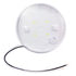 61H11 by GROTE - LED WhiteLight™ 4" Dome Light - 24V