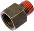 800-754 by DORMAN - Transmission Line Connector