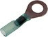 84214 by DORMAN - 16-14 Gauge Ring Solder Filled Terminal, 3/8 In., Blue