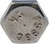 890-020 by DORMAN - Cap Screw-Hex Head-Stainless Steel- 1/4-20 x 2 In.