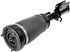 949-964 by DORMAN - Air Suspension Strut Assembly