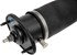 949-725 by DORMAN - Active Air Suspension Air Shock