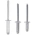 Dorman 961-030 Aluminum Rivet Assortment Rivet - Aluminum - 3/16 In.-Assortment