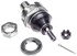 B90492 by DORMAN - Alignment Caster / Camber Ball Joint