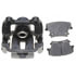Raybestos 565-1001B Suspension Control Arm Bushing Kit CONTROL ARM BUSH