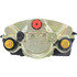 Centric 142.63004 Disc Brake Caliper Posi Quiet Loaded Caliper with New Phenolic Pistons