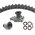 Dayco WP249K1DS Engine Timing Belt Kit with Water Pump WATER PUMP KIT WITH SEALS, DAYCO