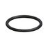 DDE-A5419970445 by DETROIT DIESEL - SEAL RING