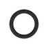 DDE-A6069971645 by DETROIT DIESEL - SEAL RING