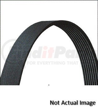 NAPA AUTOMOTIVE 25-7255 Replacement Belt 