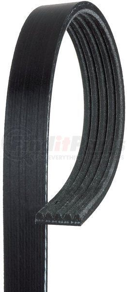 Gates 5PK1343 Micro-V Multi-Côtelé Ceinture