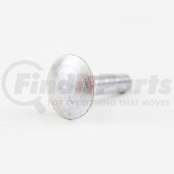 89210P0032 by TRANSGLOBAL Steel Door Rivet 1/4”× 1”