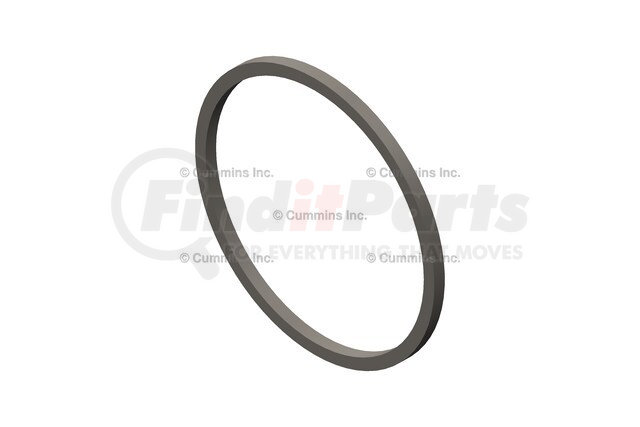 3903475 by CUMMINS - Seal Ring / Washer