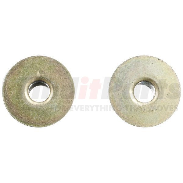 Delphi TD4893W Rack and Pinion Mount Bushing Delphi TD4893W Rack and Pinion Mount Bushing