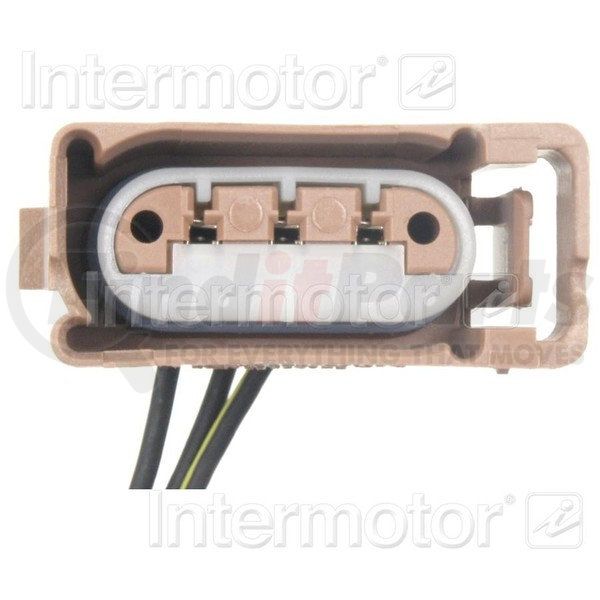 S894 by STANDARD IGNITION License Plate Light Socket Connector