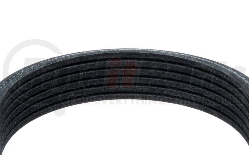 6-Rib 50.4 Length Goodyear 2060504 Dual Sided Serpentine Belt 