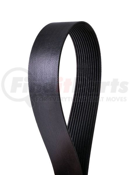 Continental Elite 41065 Truck Refrigeration Belt Continental ContiTech Continental Elite 41065 Truck Refrigeration Belt Continental ContiTech