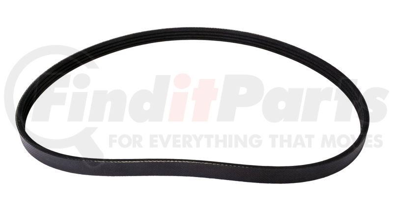 Continental 4040398 OE Technology Series Multi-V Belt Continental ContiTech Continental 4040398 OE Technology Series Multi-V Belt Continental ContiTech