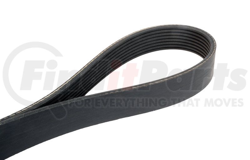 Continental 4080622X 8 Ribs 62.20 Multi-V Belt Continental 4080622X 8 Ribs 62.20 Multi-V Belt