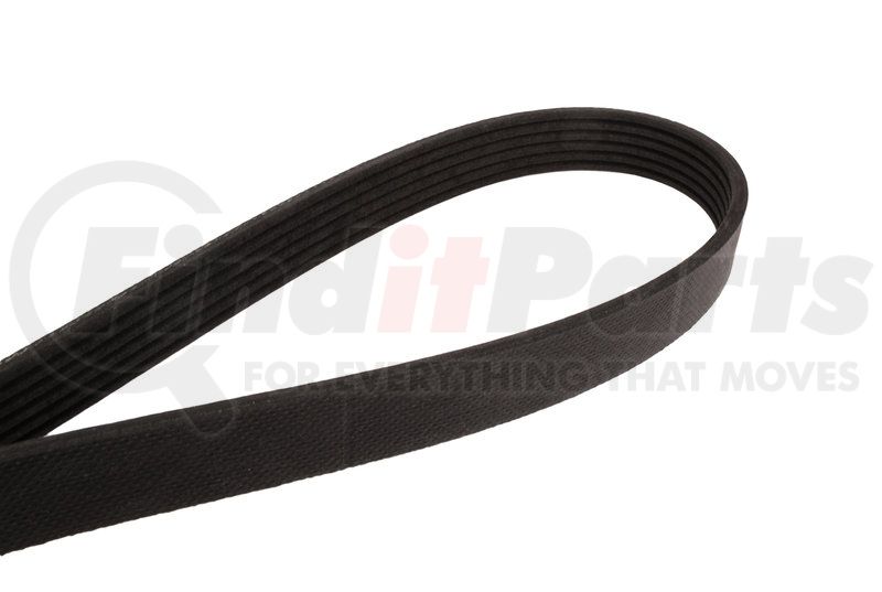 4060855 by CONTINENTAL AG - Automotive Multi-V Belt